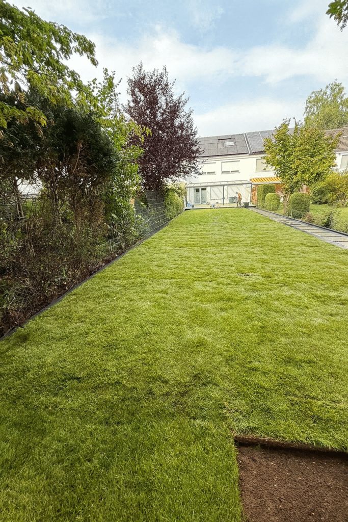 Rollrasen verlegen lassen Lüdenscheid